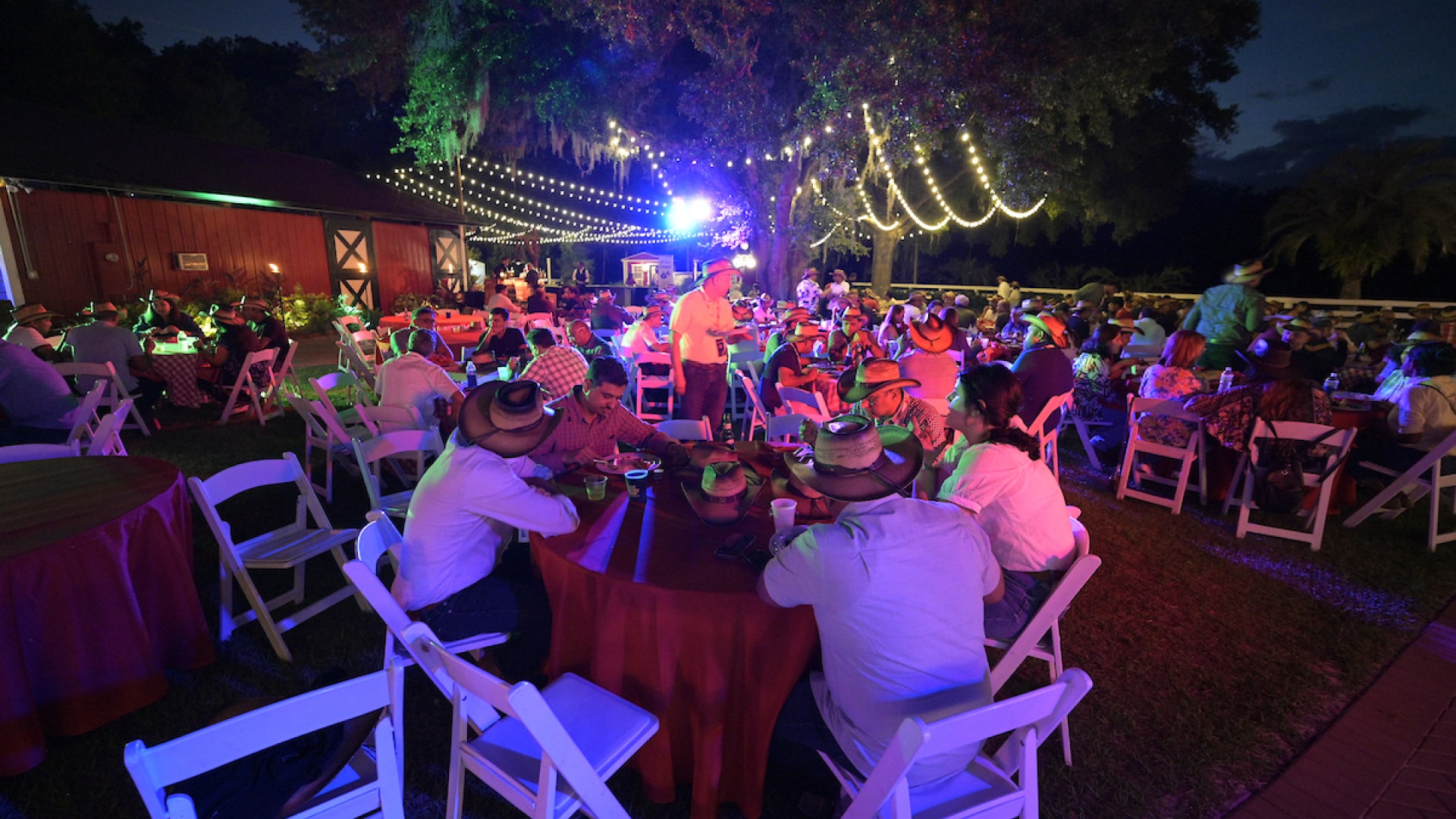 Evening Reception